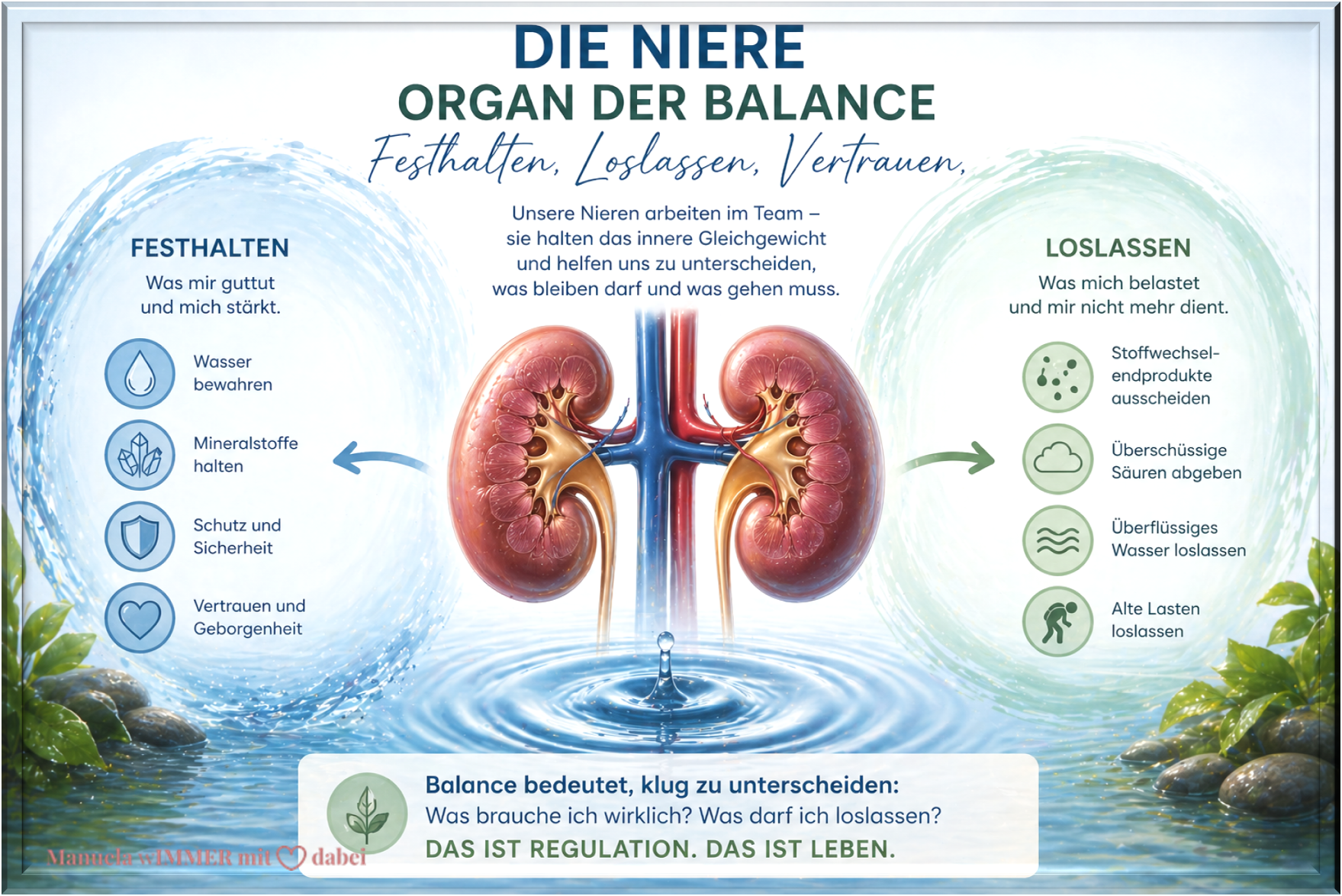 08 NiereBalance