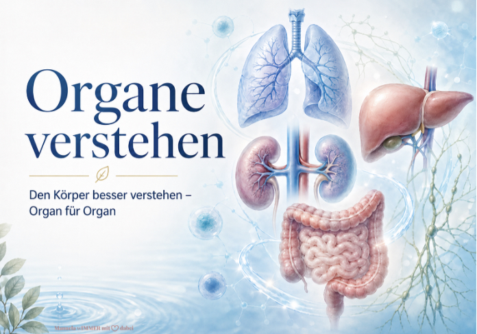 organe verstehen